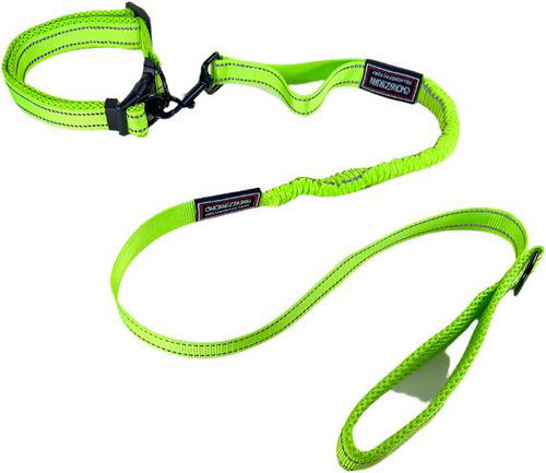 ANNAM Flexible leash with collar, leash 115 cm, collar 35-55 cm, green - Leash - Main image