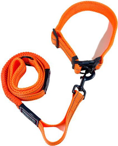 ANNAM Flexible leash with collar, leash 115 cm, collar 35-55 cm, orange - Leash - Main image