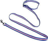 ANNAM Leash 2,5 × 180 cm, length is freely adjustable, blue-red - Leash