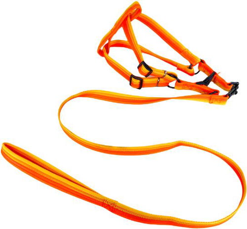 ANNAM Leash set with harness 2 cm, circumference 45-60 cm, leash 118 cm, orange - Leash - Main image