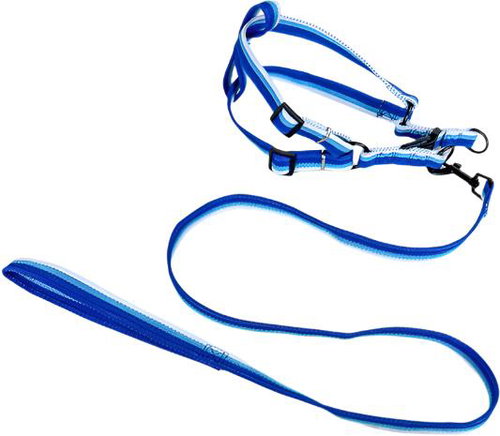 ANNAM Leash set with harness 2 cm, girth 45-60 cm, leash 118 cm, blue - Leash - Main image