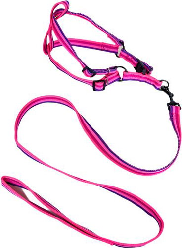 ANNAM Leash set with harness 2 cm, circumference 45-60 cm, leash 118 cm, pink - Leash - Main image