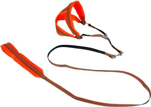 ANNAM Reflective leash set with harness 1 cm, harness 30-50 cm, leash 110 cm, orange - Leash - Main image