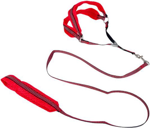 ANNAM Reflective leash set with harness 1 cm, harness 30-50 cm, leash 110 cm, red - Leash - Main image