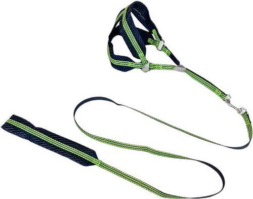 ANNAM Reflective leash set with harness 1 cm, harness 30-50 cm, leash 110 cm, green - Leash - Main image