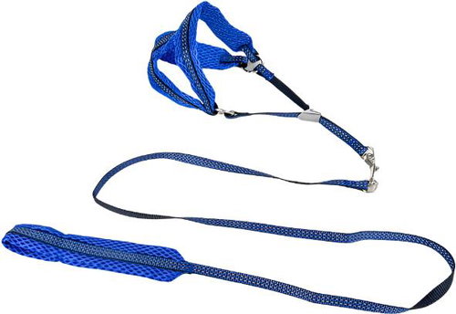 ANNAM Reflective leash set with harness 1 cm, harness 30-50 cm, leash 110 cm, blue - Leash - Main image