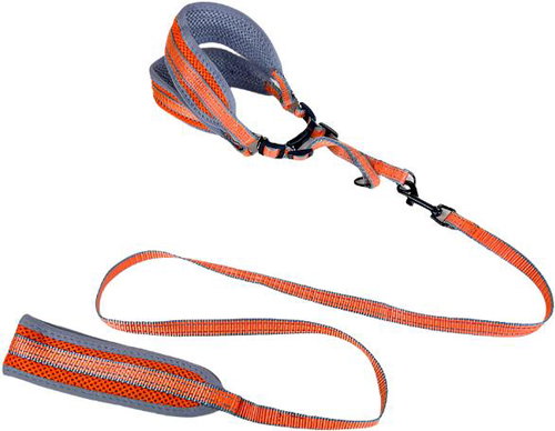 ANNAM Padded leash with harness, leash 120 cm × 1,5 cm, harness circumference 40-50 cm, orange - Leash - Main image