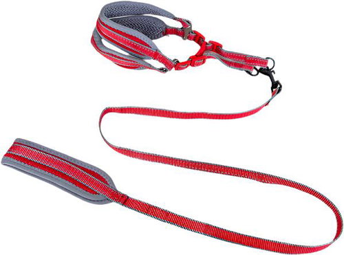 ANNAM Padded leash with harness, leash 120 cm × 1,5 cm, harness circumference 40-50 cm, red - Leash - Main image