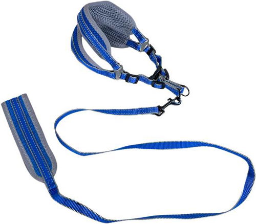 ANNAM Padded leash with harness, leash 120 cm × 1,5 cm, harness circumference 40-50 cm, blue - Leash - Main image