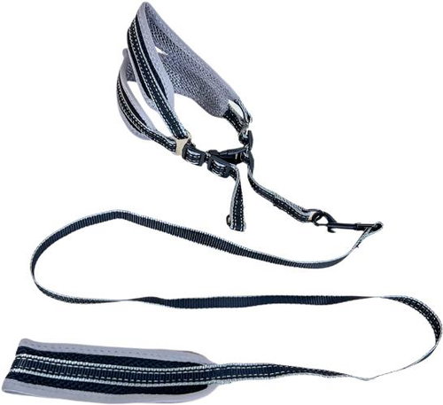 ANNAM Padded leash with harness, leash 120 cm × 1,5 cm, harness circumference 40-50 cm, grey - Leash - Main image