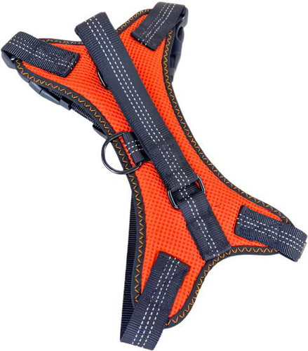 ANNAM Reflective harness m, orange - Harness - Main image