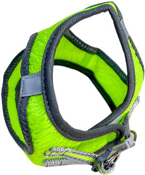 ANNAM Animal harness m, green - Harness - Main image