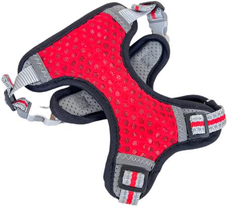 ANNAM Padded harness L, red - Harness - Main image