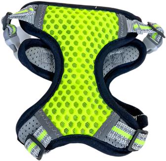 ANNAM Padded harness L, green - Harness - Main image