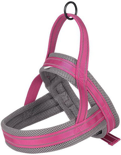 ANNAM Harness for dogs m polyester, pink - Harness - Main image