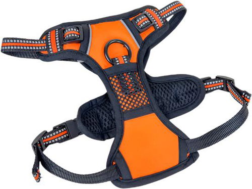 ANNAM Padded harness for dogs with, orange - Harness - Main image