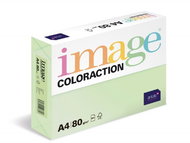 Antalis Colored paper Jungle / pastel light green A4 / 80 g / 500 pcs - Colour Paper