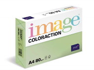 Antalis Colored paper Forest / pastel green A4 / 80 g / 500 pcs - Colour Paper