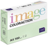 Antalis Colored paper Forest / pastel green A4 / 160 g / 250 pcs - Colour Paper