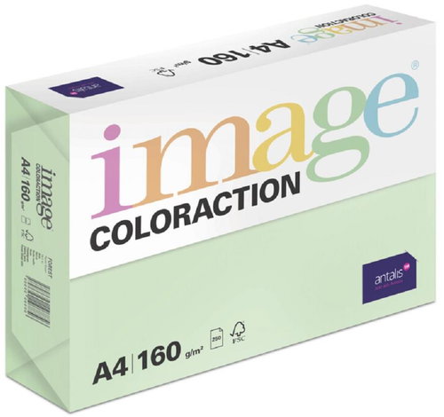 Antalis Colored paper Forest / pastel green A4 / 160 g / 250 pcs - Colour Paper - Main image