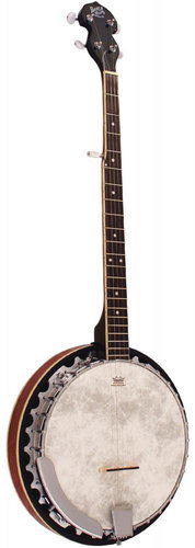 Barnes & Mullins BMBJ300 - Banjo - Main image