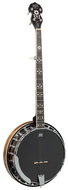 Barnes & Mullins BMBJ400E - Banjo