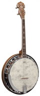 Barnes & Mullins BMBJ504BWGT - Banjo