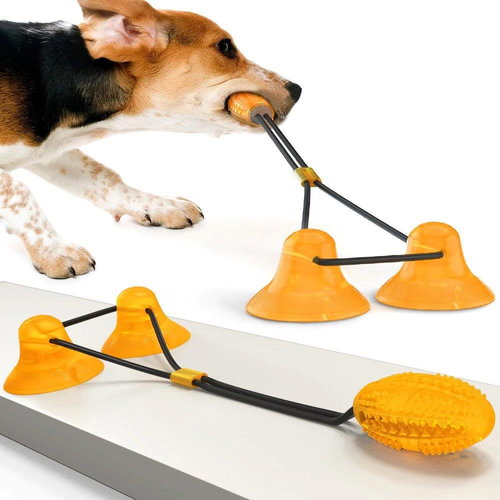 Pronett XJ4295 Dog toy for brushing teeth with double suction cup - Dog Toy - Main image