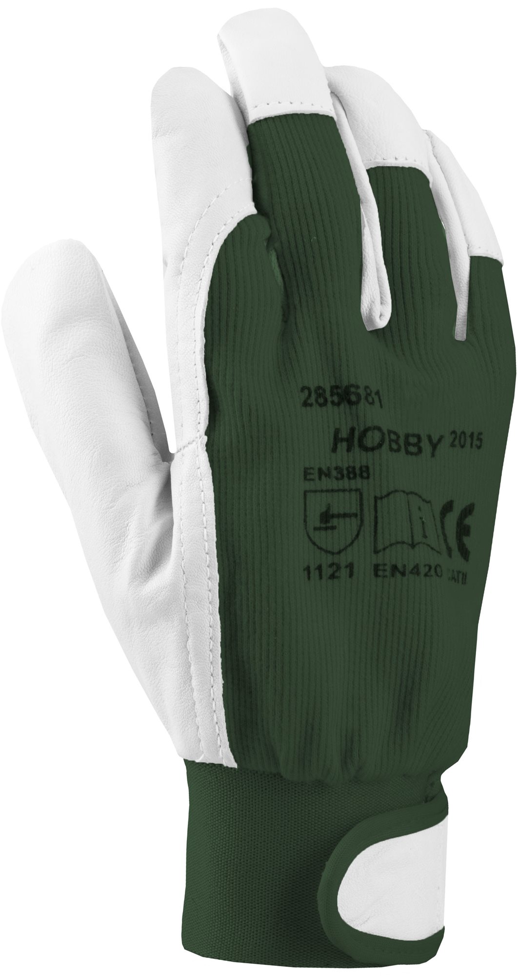 Ardon HOBBY Kesztyű, zöld, 08