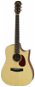 Aria Aria - 111CE MTN - Acoustic-Electric Guitar