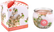 ARÔME Cherry Blossom, 4 pcs - Candle Set