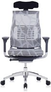 ANTARES Pofit Dark Grey Frame, Silver Net with Drawing - Office Chair