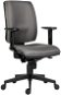 Office Chair ANTARES Ebano, Grey - Kancelářská židle
