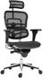 ANTARES Farao black - Office Chair