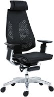 ANTARES Genidia Black/Silver - Office Chair