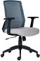 Bürostuhl ANTARES Duke schwarz / grau - Kancelářská židle