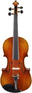 BACIO INSTRUMENTS AVA100S - Violin