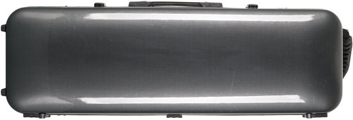 ARTLAND SVC005P-black stripe - Koffer für Saiteninstrumente - Hauptbild