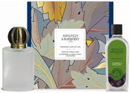 ASHLEIGH & BURWOOD Large LINEAR FROSTED catalytic lamp with ELDERBERRY & PURPLE BASIL fragrance 250m - Fragrance Lamp