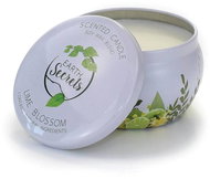 ASHLEIGH & BURWOOD Earth Secrets - Lime Blossom 140 g - Svíčka