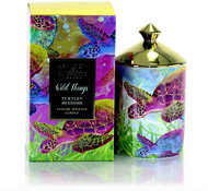 ASHLEIGH & BURWOOD Wild Things - Turtley Awesome GRAPEFRUIT & BERGAMOT 320 g - Candle