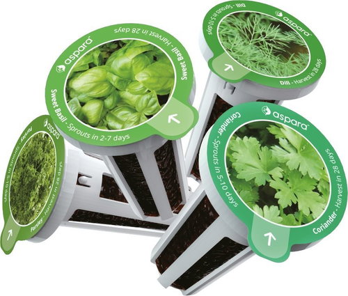 Aspara Herb Selection Seed Kit - Seedling Planter - Main image