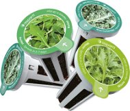 Aspara Seed Kit Speciální Výběr Salátů - Sazenice