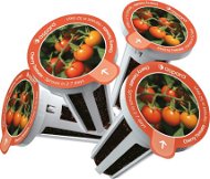 Aspara Cherry Tomatoes Seed Kit - Seedling Planter