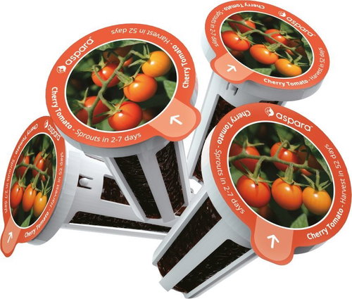 Aspara Cherry Tomatoes Seed Kit - Seedling Planter - Main image