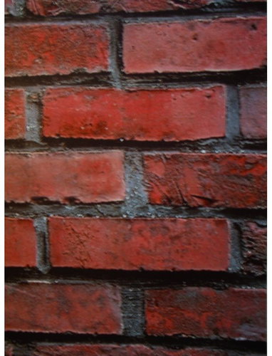 GEKKOFIX 10222 - Self-Adhesive Film - Main image