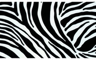 GEKKOFIX 10132 - Self-Adhesive Film