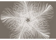 KOMAR - Non-woven Wall Mural XXL4-006 - Photo Wallpaper