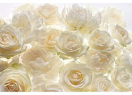 KOMAR - Non-woven Wall Mural XXL4-007 - Photo Wallpaper