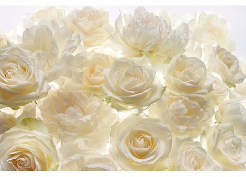 KOMAR - Non-woven Wall Mural XXL4-007 - Photo Wallpaper - Main image